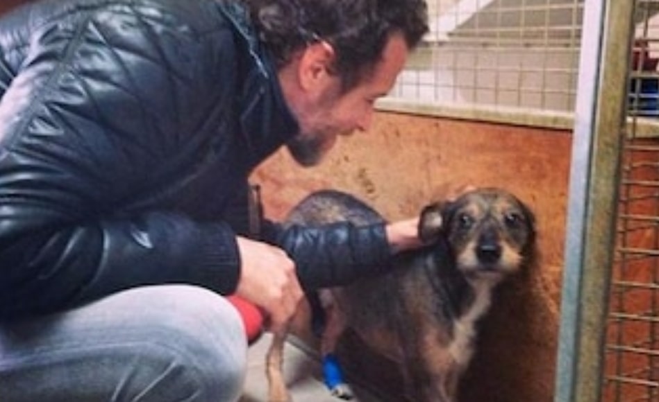 Jovanotti, il Babbo Natale di cani e gatti, dona 23 quintali di crocchette e cibo umido al canile