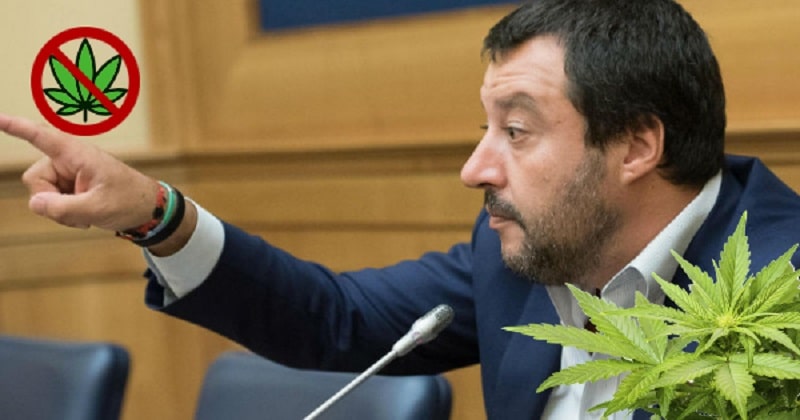 La nuova battaglia di Salvini: “Chiuderò tutti i negozi di cannabis”