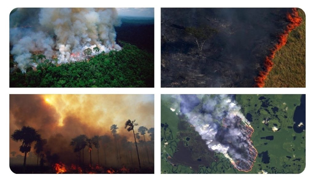 La foresta amazzonica è in fiamme e il fumo può essere visto dallo spazio [FOTO]