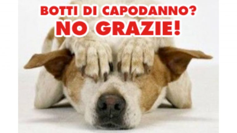 Botti di Capodanno, incubo per i cani Ecco come aiutare i nostri amici animali