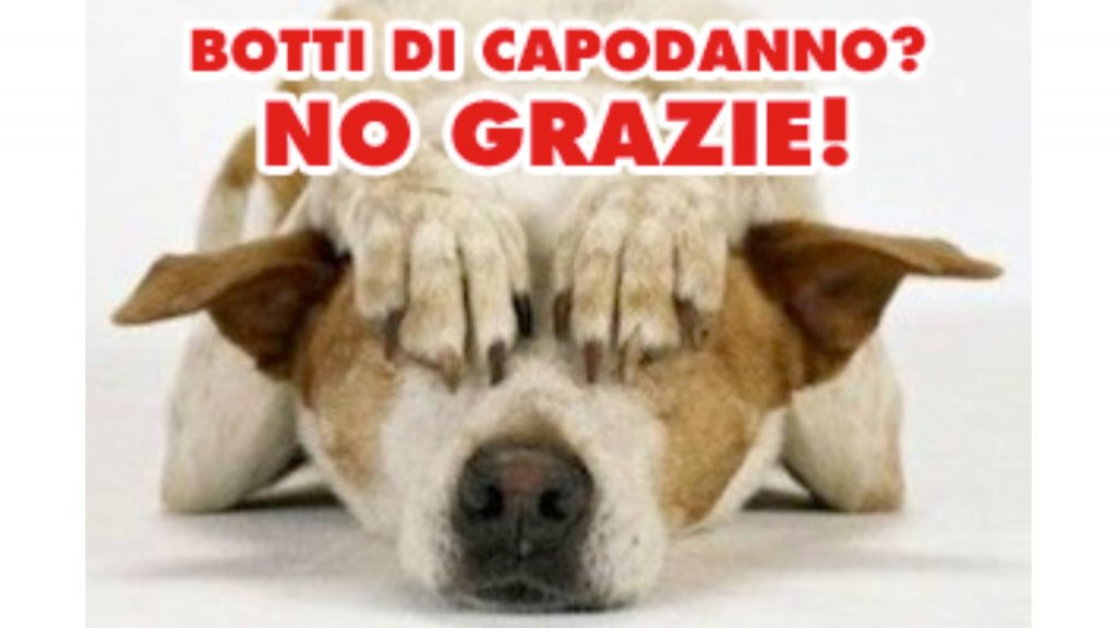 Botti di Capodanno, incubo per i cani Ecco come aiutare i nostri amici animali