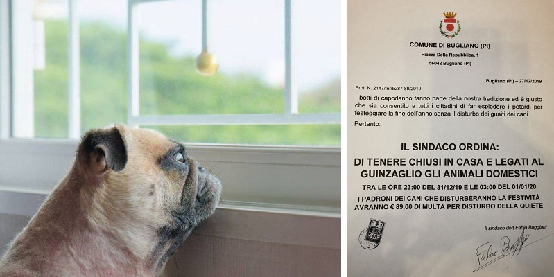 A capodanno obbligo di tenere i cani chiusi in casa, il comunicato del sindaco di Bugliano: ma da una ricerca questo comune non esiste!