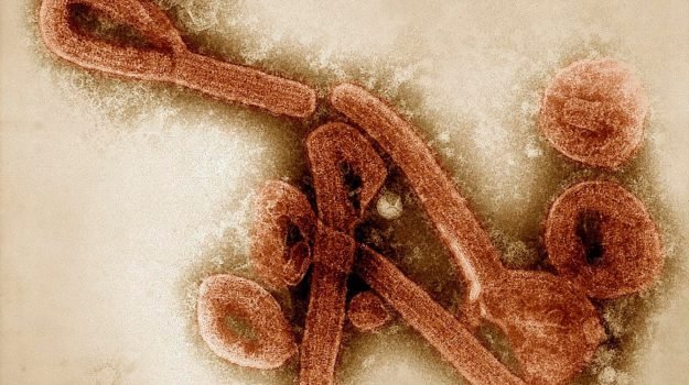 Nuovo virus minaccia la terra: 1 morto e 155 persone in isolamento