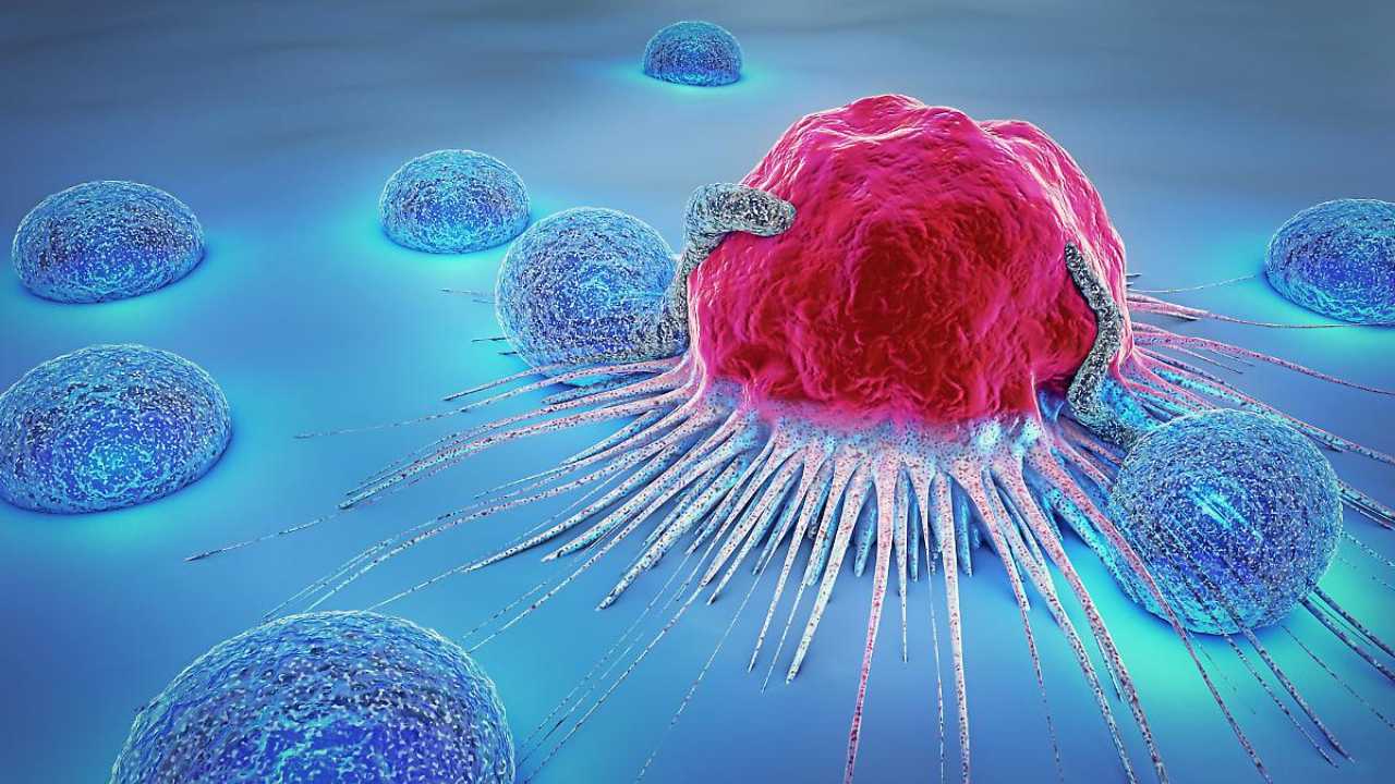 Cancro, finalmente una svolta: ecco le cause | Saperlo vi può salvare la vita