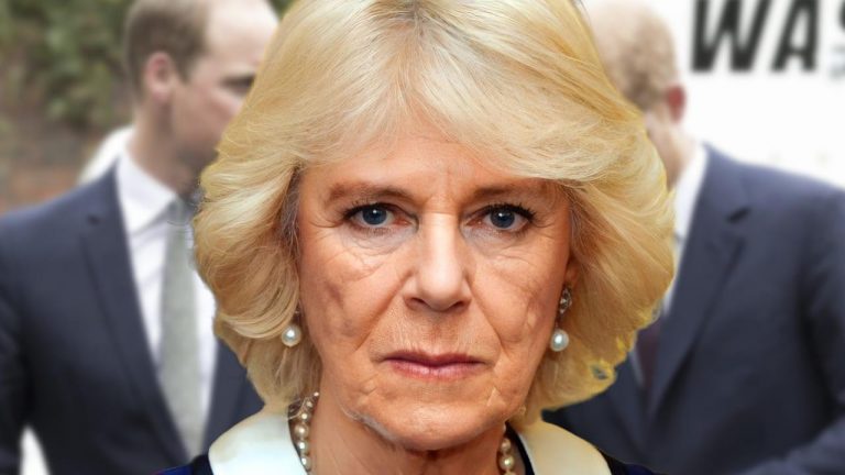 Il fratellino di William e Harry”, Camilla Parker l’ha nascosto a tutti: sudditi nel panico