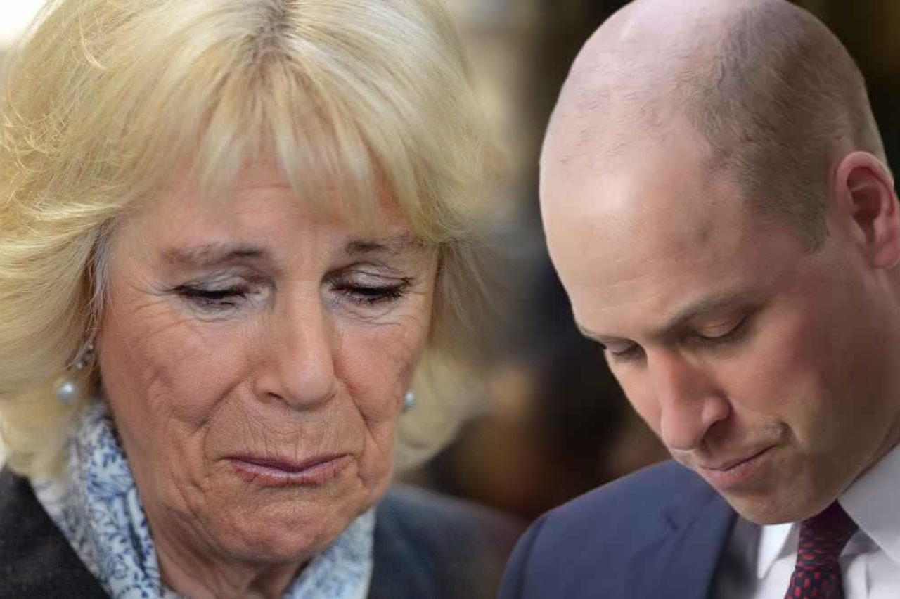 Camilla ha nascosto la verità a tutti, spunta il fratello di William e Harry | successione a rischio