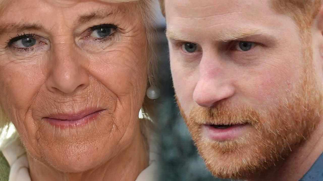 Harry minaccia Camilla per “scandalo sessuale”, lettera di dimissioni da €97 mln | In pericolo la monarchia