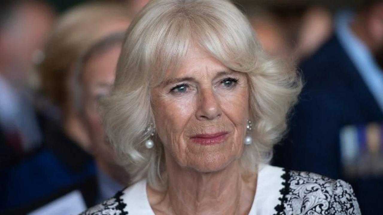 Camilla ha un figlio segreto: William perde il trono | Panico a Buckingham Palace