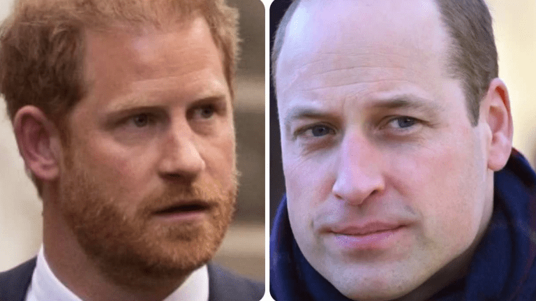 Harry, la chiamata segreta a William ormai non è più tanto segreta: emerge il contenuto shock