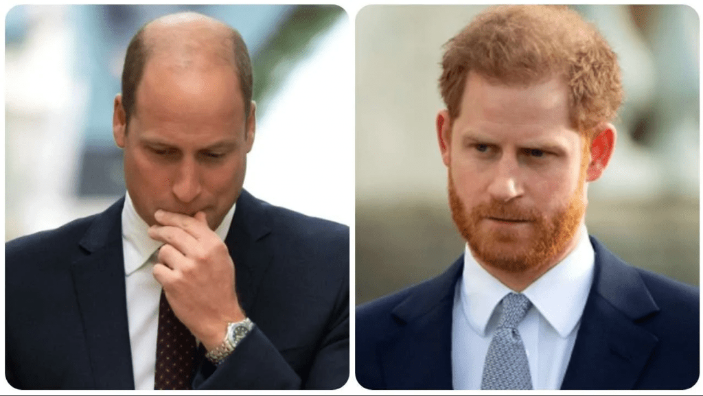 William, trapela il patto segreto con Harry: il retroscena emerso solo oggi spiega tante cose